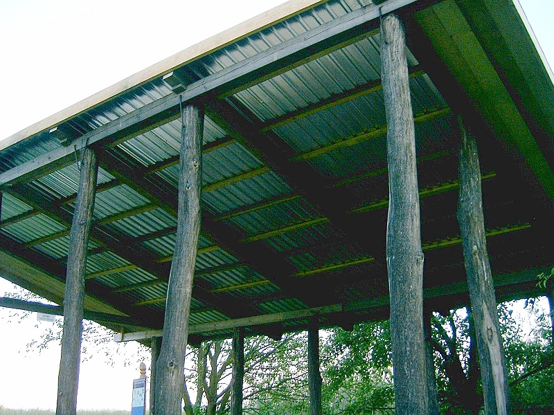 20100605 031.jpg